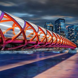 Peace Bridge Calgary by Jan van Dasler