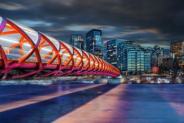 Peace Bridge Calgary by Jan van Dasler