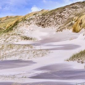 Dutch coast real nature with beach and dunes by eric van der eijk