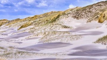 Dutch coast real nature with beach and dunes