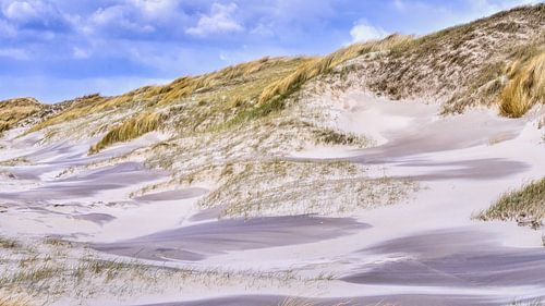 Dutch coast real nature with beach and dunes