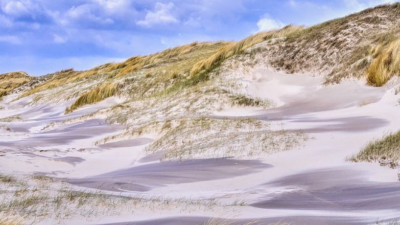 Niederländische Küste echte Natur mit Strand und Dünen von eric van der eijk