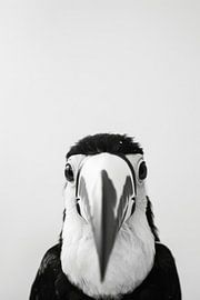 Tukan von Poster Art Shop