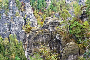 Vue sur les rochers et les arbres en Suisse saxonne sur Rico Ködder