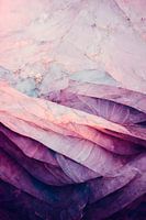Purple Layers