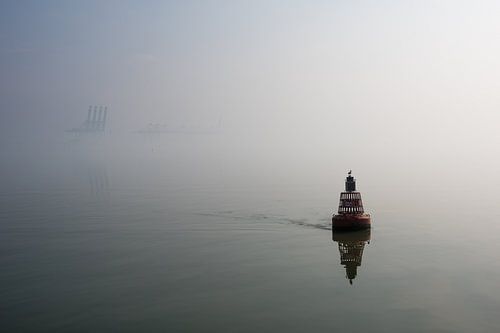 Fog buoy