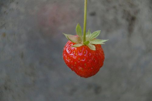 aardbei in haar uppie