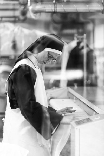 Het Kloosterleven par heidi borgart