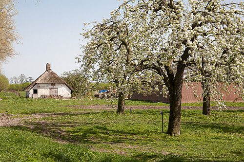 Ferme dans le verger