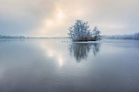 Winters Glow