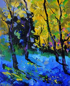 Sunlight in autumn sur pol ledent