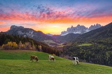 Zonsopgang in het Villnössdal van Michael Valjak