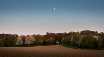 Kelmonderbos