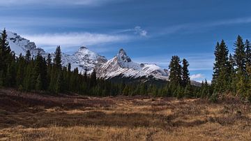 Herfstlandschap in de Rockies van Timon Schneider