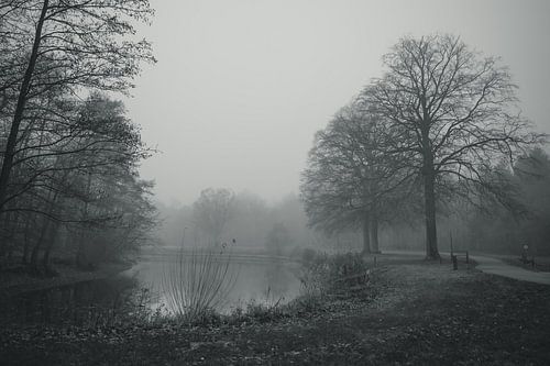 Mistige vijver