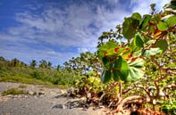 Bij Playa Fronton op het schiereiland Samaná van Roith Fotografie thumbnail