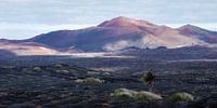 Lanzarote