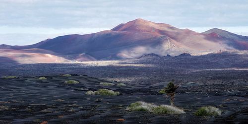 Lanzarote