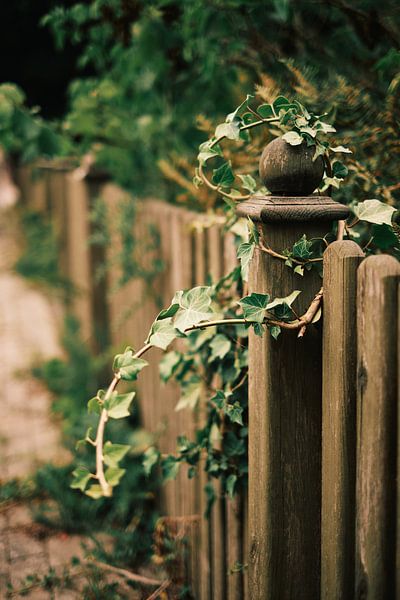 Am Wegesrand No. 1 von Momentaufnahme | Marius Ahlers