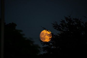 Opkomende volle maan in oktober
