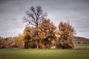 Herfst in het Geuldal van Rob Boon