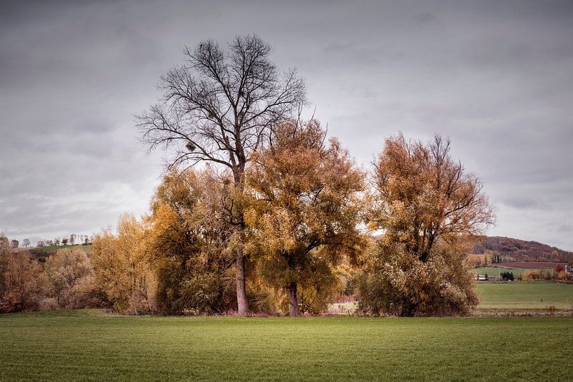 Autumn in the valley of the river Geul by Rob Boon