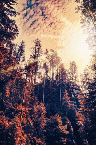 Puur natuur in Bad Schandau - Kirnitzschklamm