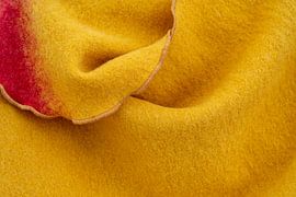 Vilt close-up van Achim Prill