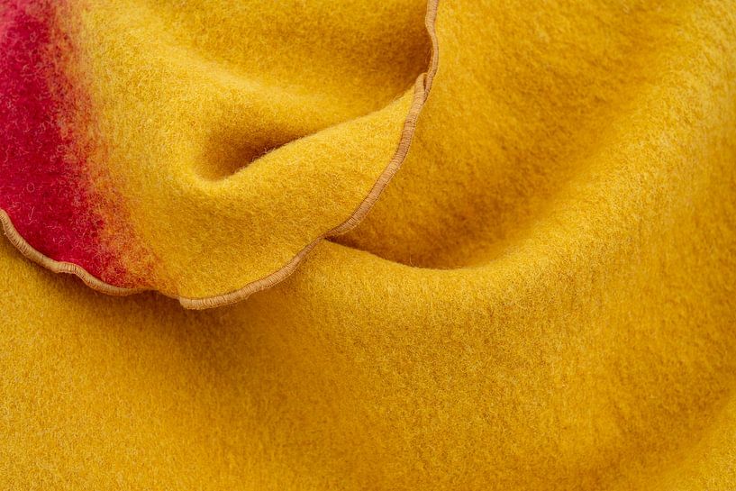 Vilt close-up van Achim Prill