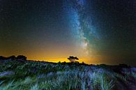 Milky Way over the Netherlands by Anton de Zeeuw thumbnail
