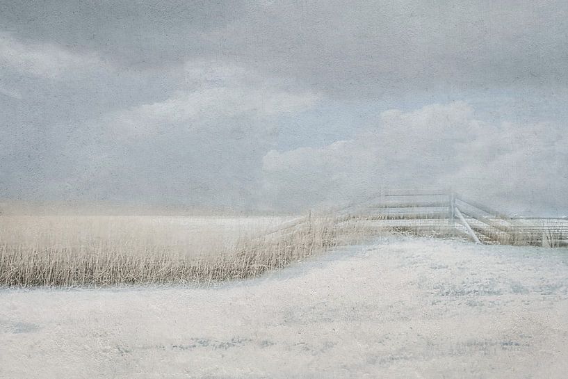 Stillness by Monique van Velzen