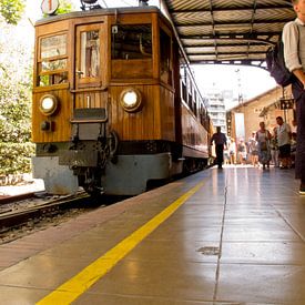 houten trein van Guido Akster