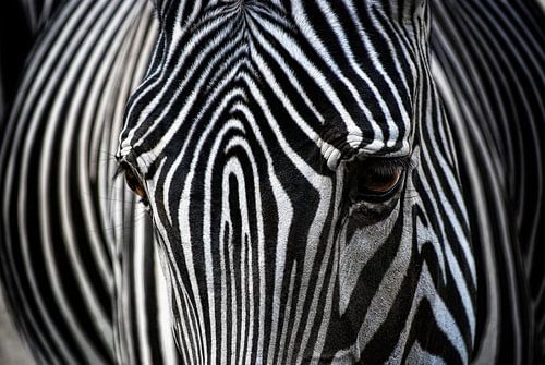 Afrikanisches Design