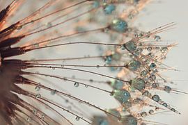 Le duvet à travers le duvet sur Marjolijn van den Berg