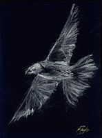 Witte Vogel
