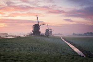 Drie molens en een sloot tijdens een zonsopkomst op het platteland