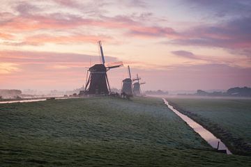Three windmills in a row at sunrise by iPics Photography