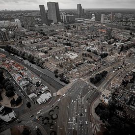 L'épisode de La Haye : celui où tout est brun. sur Bfec.nl