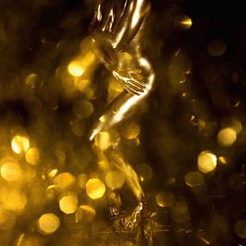 Gold Girl in Gold Storm von Christian Land Auftragsfotografie