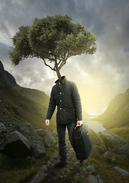 Der Wanderbaum von Bert Hooijer