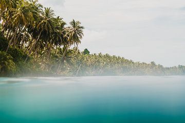 Mentawai Islands 2 by Andy Troy