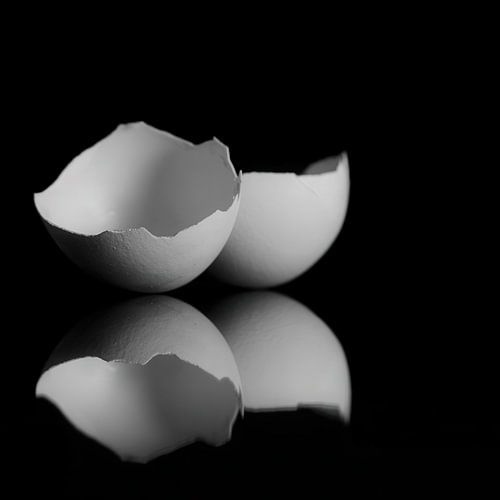 Noir et blanc dans une coquille de noix sur Marc Lehmann
