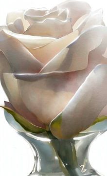 Witte roos van Ruth Day
