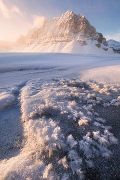 Gouden licht op een koude winterochtend in Canada van Daniel Gastager