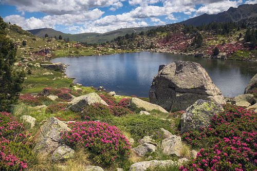 Prachtig meerlandschap bij Estanys de Pessons in het voorjaar, Andorra
