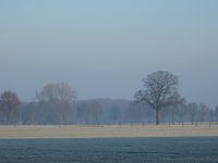 Winterslandschap met rijp