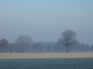 Winterslandschap met rijp