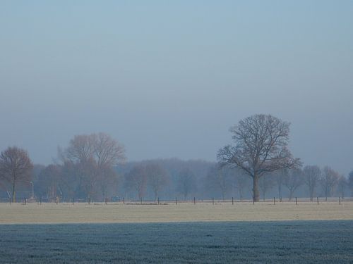 Winterslandschap met rijp