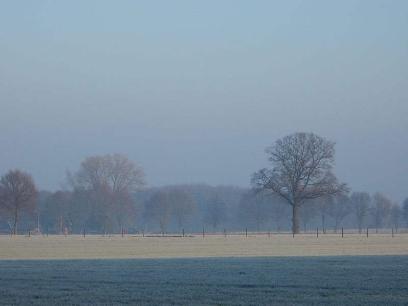Winterlandschaft mit Raureif von Joke te Grotenhuis
