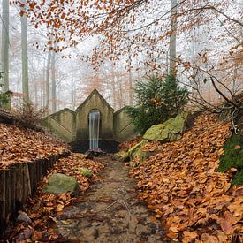 Wo das Wasser erwacht von Daan van Oort